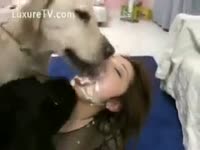 Dog orgasm on bitch's face